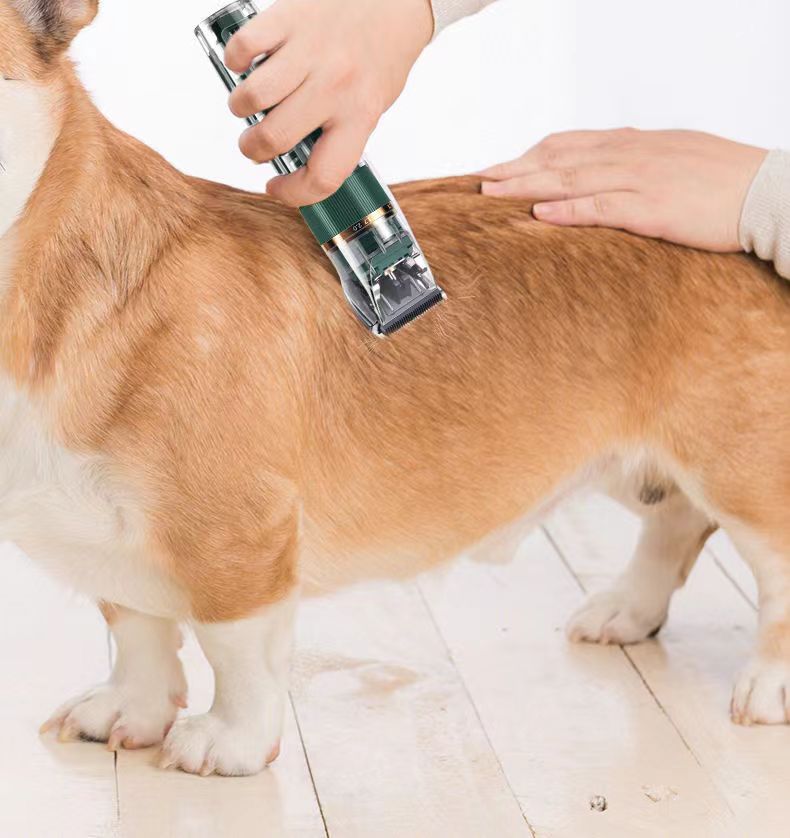 Pet Grooming Clipper for Cats Dogs Rabbits Waterproof Fur Trimming Kit